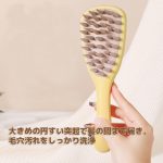 JZYS0010001-b