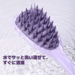 JZYS0010001-c