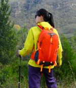 登山リュック 40L レインカバー付き 通気設計 防水仕様 - 画像 (4)